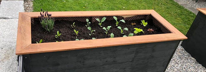 Hochbeet